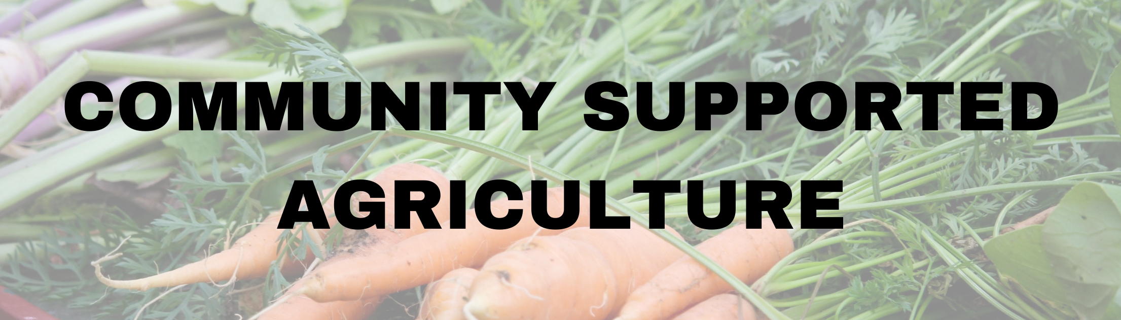 Community Supported Agriculture