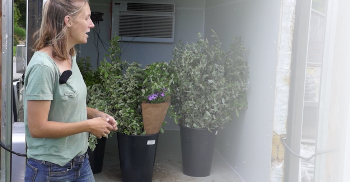 Woman in front of cooler using coolbot technology