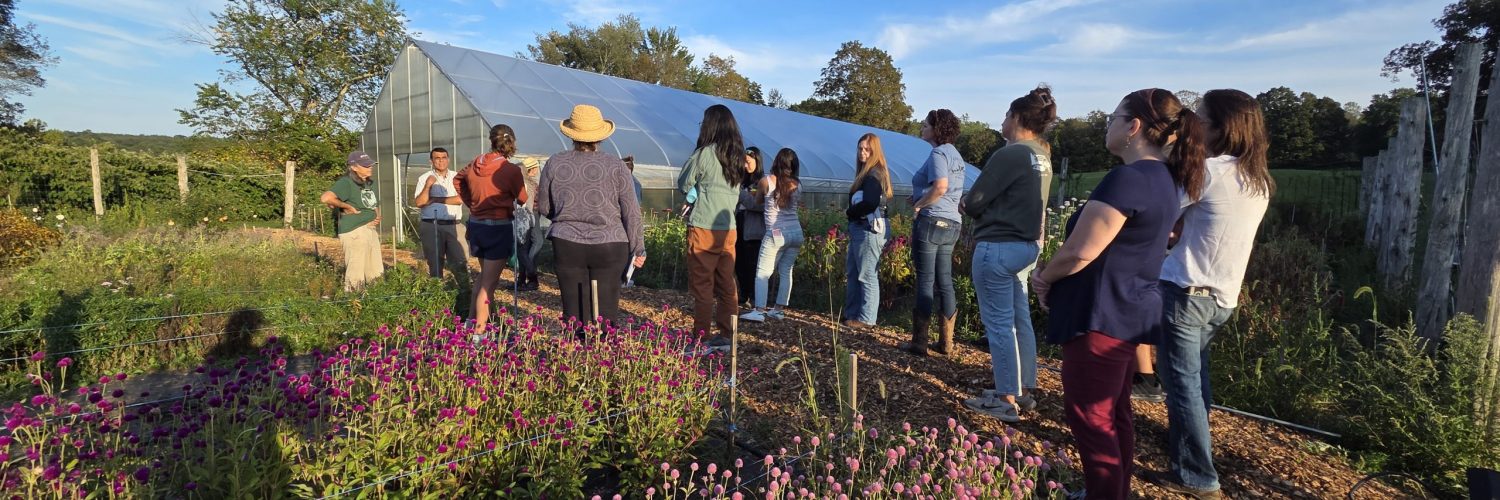 A group of farmers standing between rows of flowers at a farm listening to a training