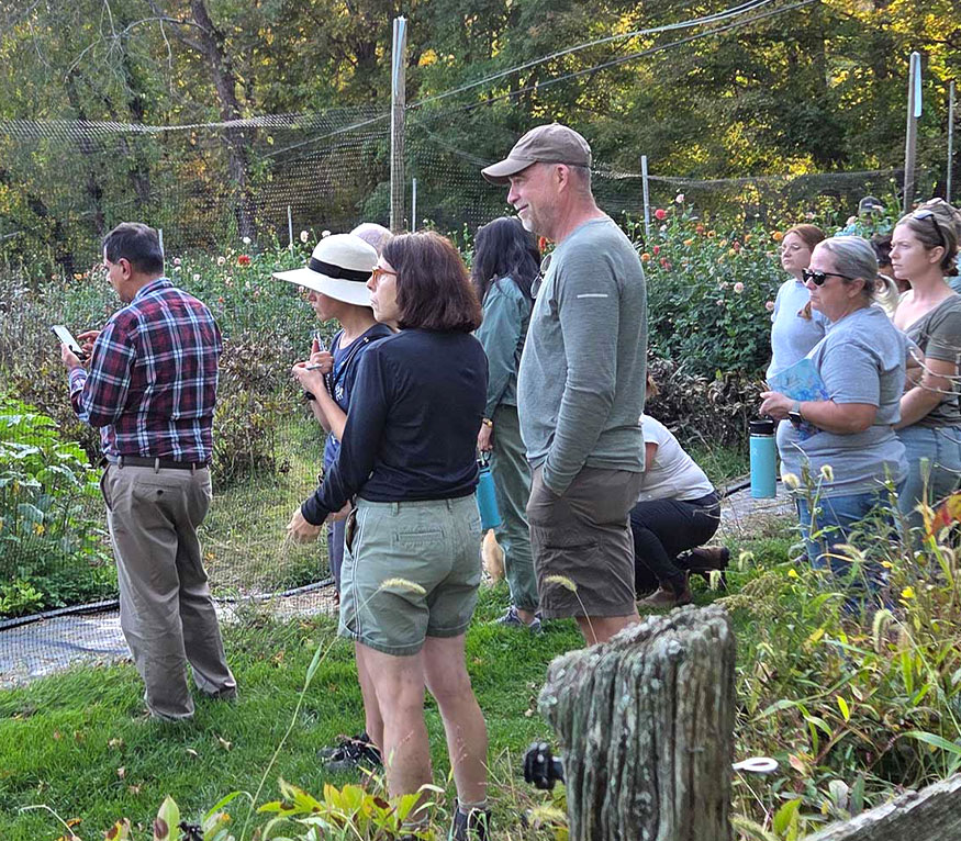 A group of people looking at a garden.